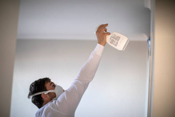 Best Local Mold Removal Service  in Dellwood, MO