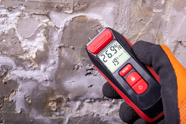 Best Black Mold Removal  in Dellwood, MO