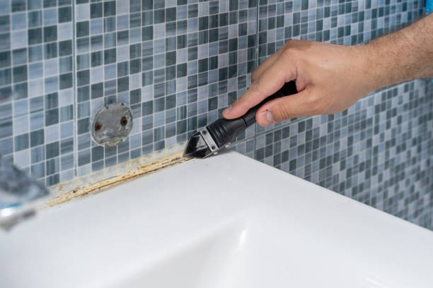 Best Fast Mold Removal  in Dellwood, MO