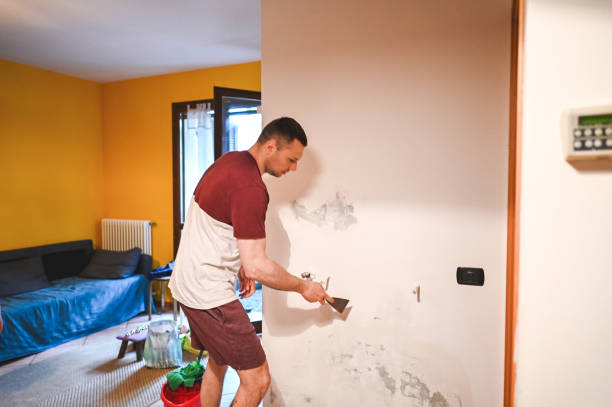 Mold Removal Process in Dellwood, MO