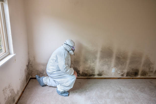 Best Mold Testing  in Dellwood, MO